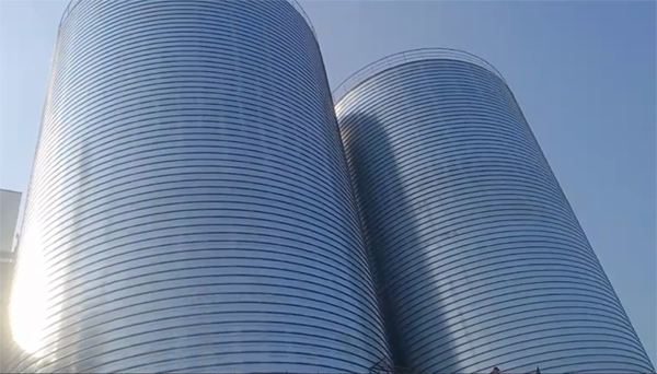 平安2座混凝土高架卷板仓